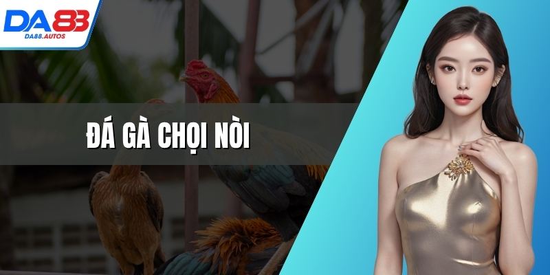 đá gà chọi nòi