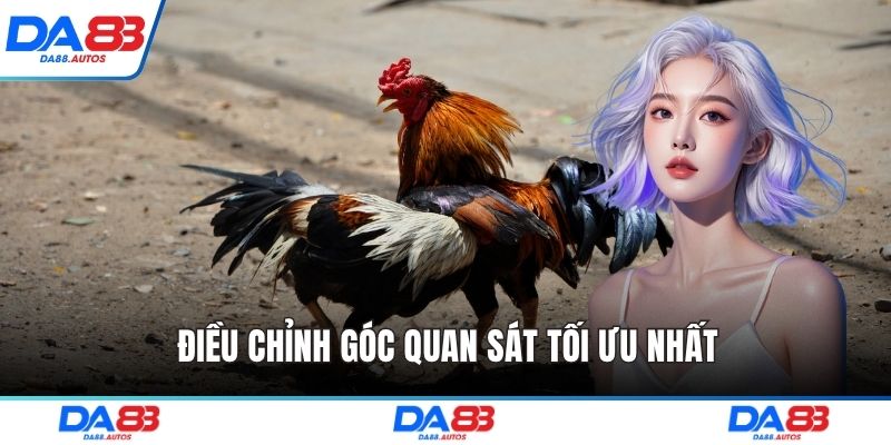 Điều chỉnh góc quan sát tối ưu nhất