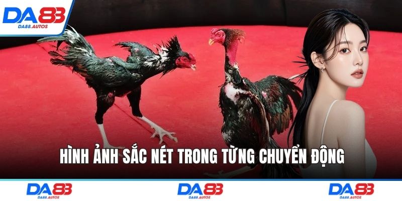 Hình ảnh sắc nét trong từng chuyển động