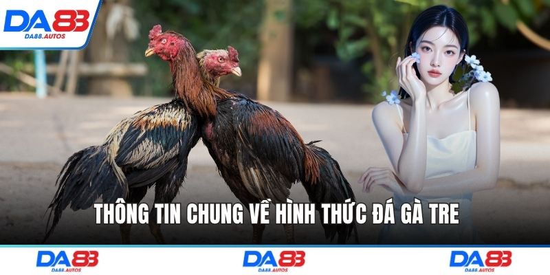 Thông tin chung về hình thức đá gà tre